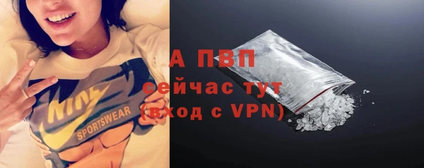 хмурый Нея