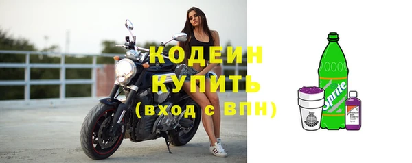 хмурый Нея