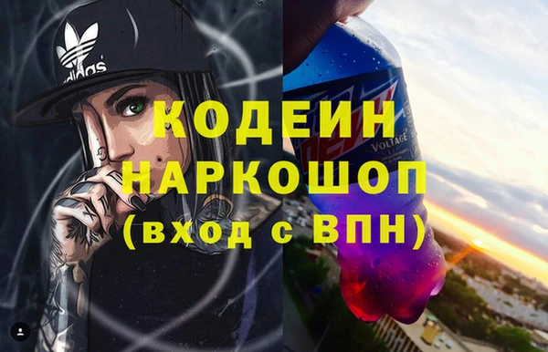 хмурый Нея