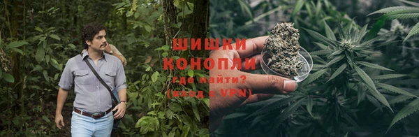 хмурый Нея